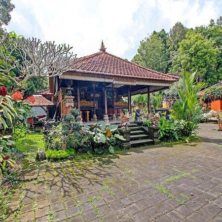Oyo Homes 91091 Desa Wisata Umejero 姆杜克 外观 照片