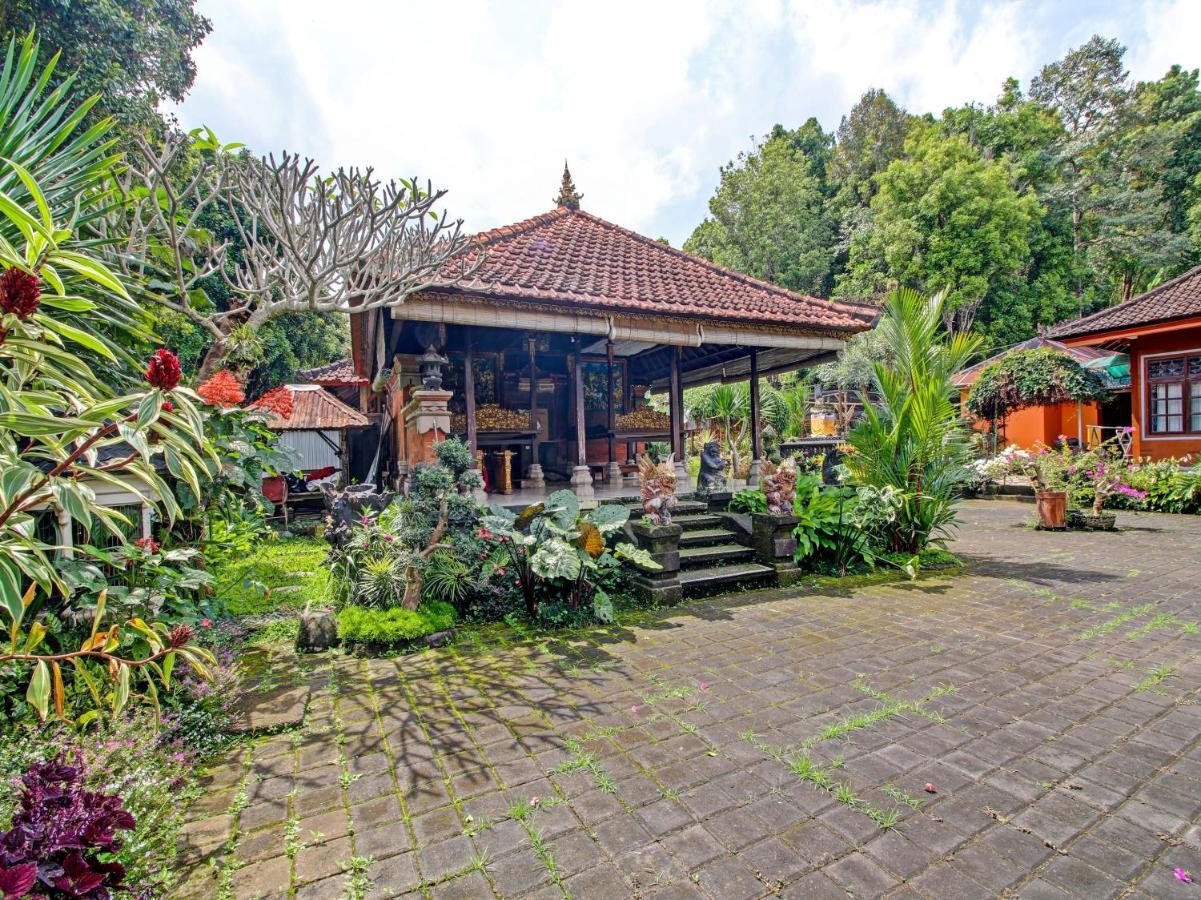 Oyo Homes 91091 Desa Wisata Umejero 姆杜克 外观 照片