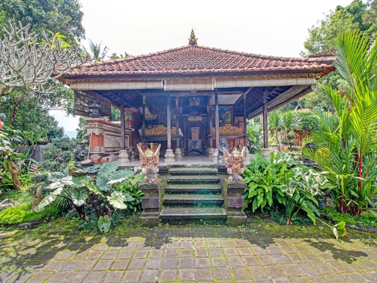 Oyo Homes 91091 Desa Wisata Umejero 姆杜克 外观 照片