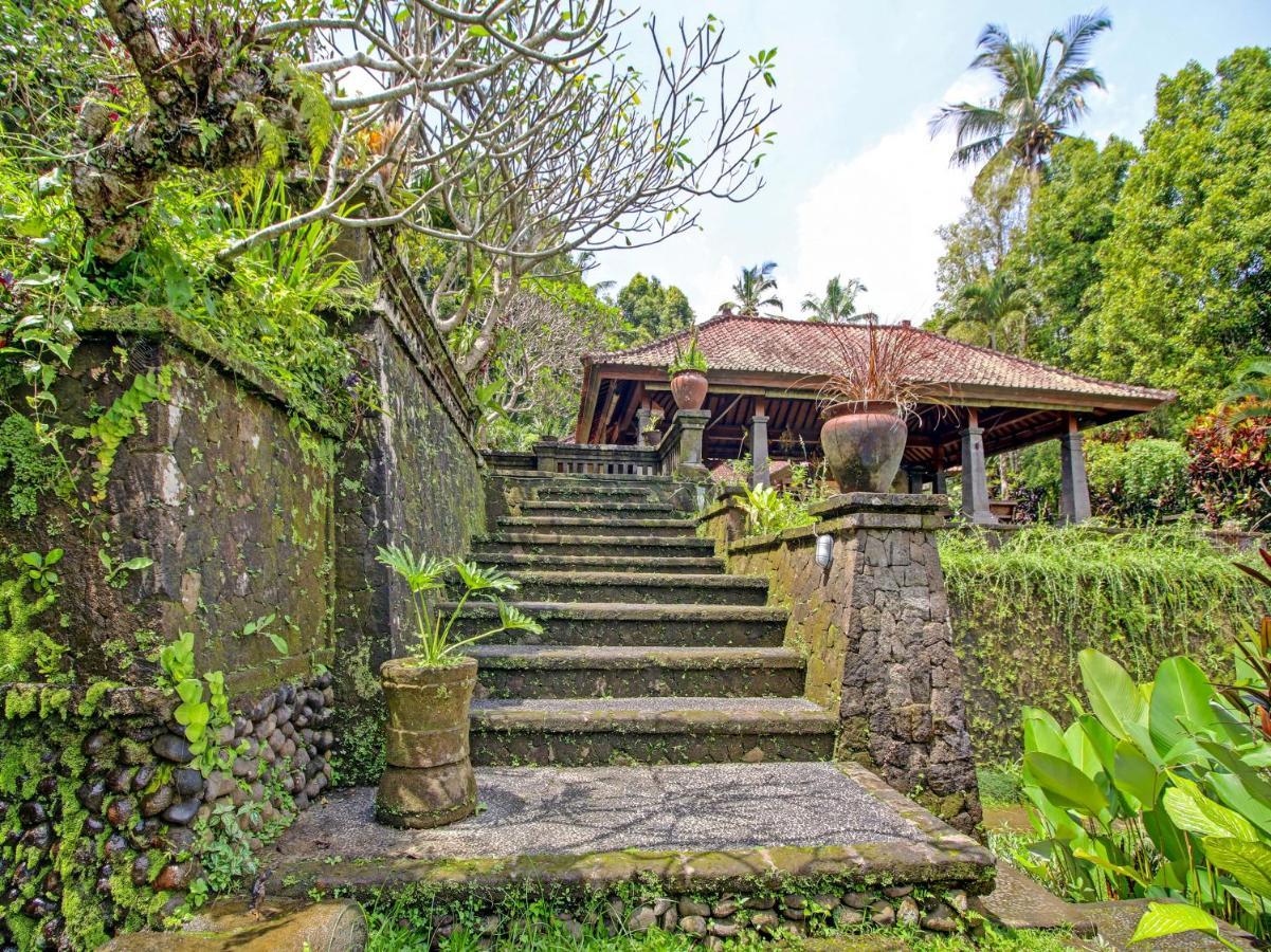 Oyo Homes 91091 Desa Wisata Umejero 姆杜克 外观 照片