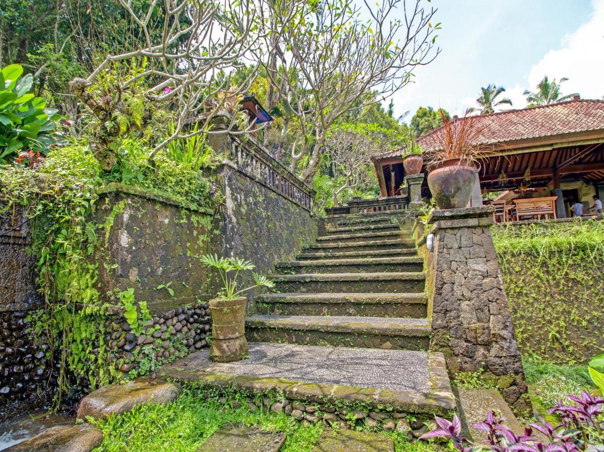 Oyo Homes 91091 Desa Wisata Umejero 姆杜克 外观 照片