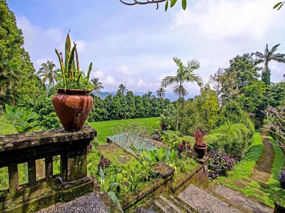 Oyo Homes 91091 Desa Wisata Umejero 姆杜克 外观 照片