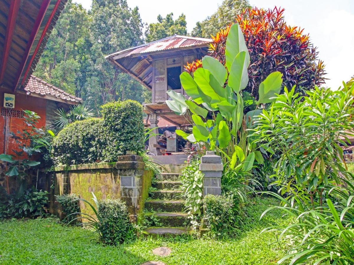 Oyo Homes 91091 Desa Wisata Umejero 姆杜克 外观 照片