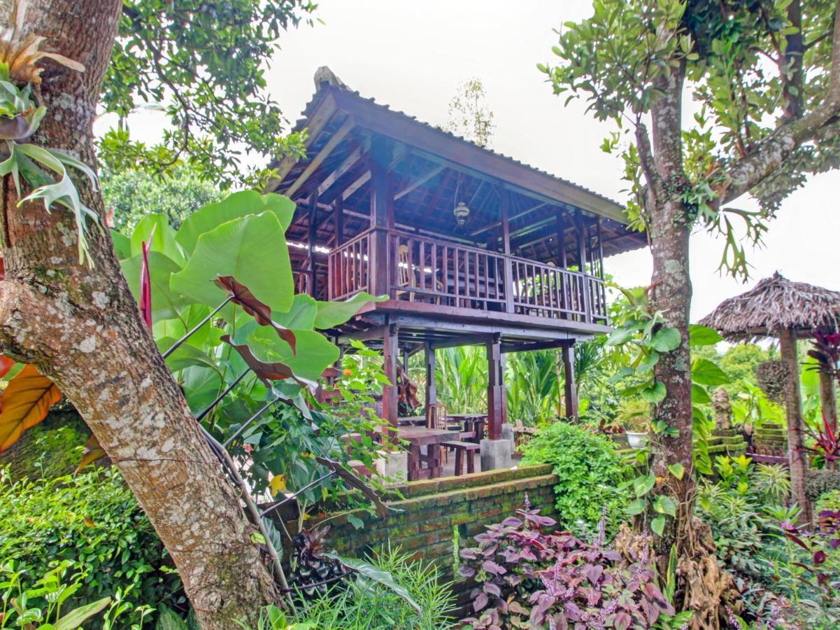 Oyo Homes 91091 Desa Wisata Umejero 姆杜克 外观 照片